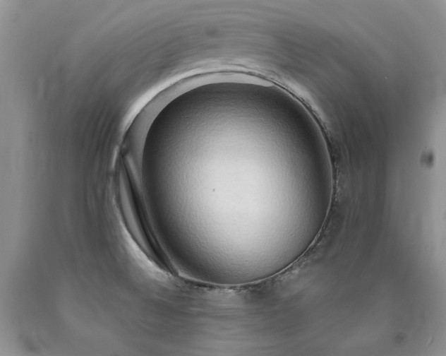 X0000090771524200707201428