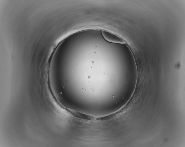 X0000090771526200707201428