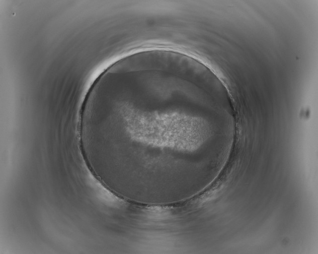X0000090771527200707201428