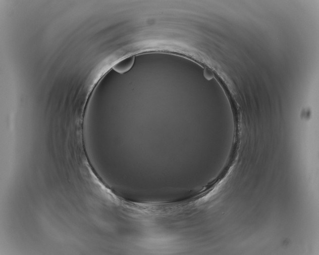 X0000090771529200707201428
