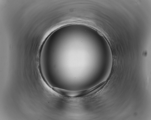 X0000090771531200707201428