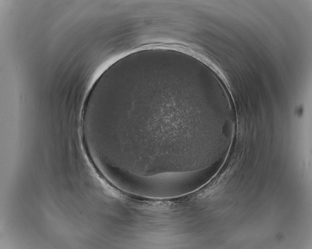 X0000090771533200707201428