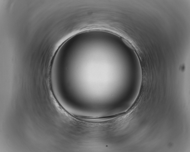 X0000090771534200707201428
