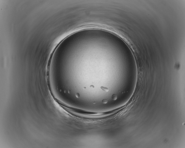 X0000090771535200707201428