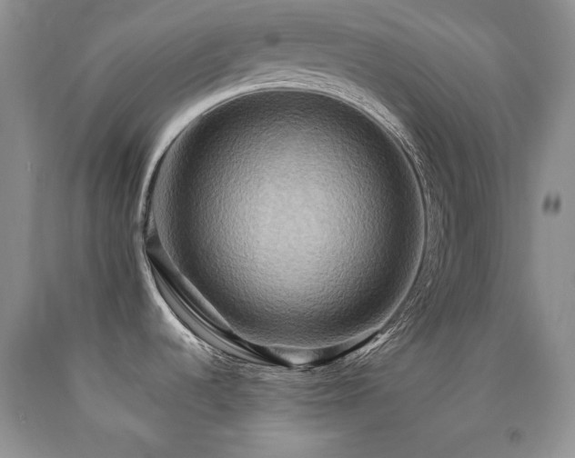 X0000090771536200707201428