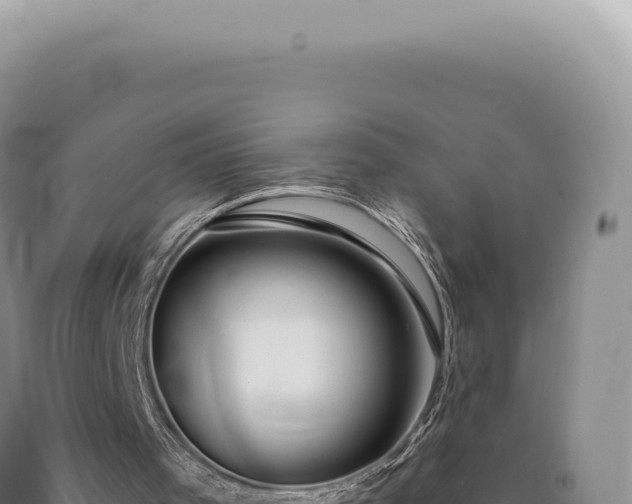 X0000090770001200707271537