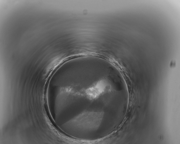 X0000090770002200707271537