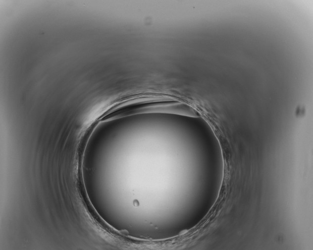 X0000090770005200707271537
