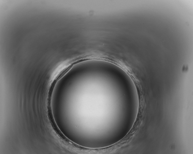 X0000090770007200707271537