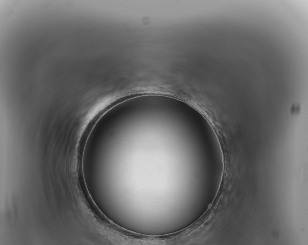 X0000090770008200707271537