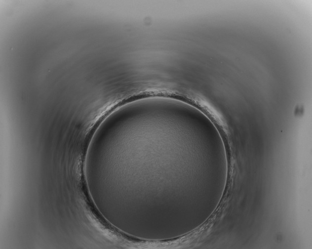X0000090770009200707271537