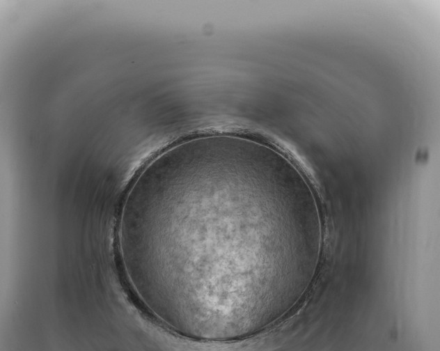 X0000090770010200707271537