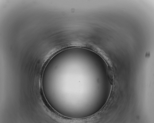 X0000090770011200707271537