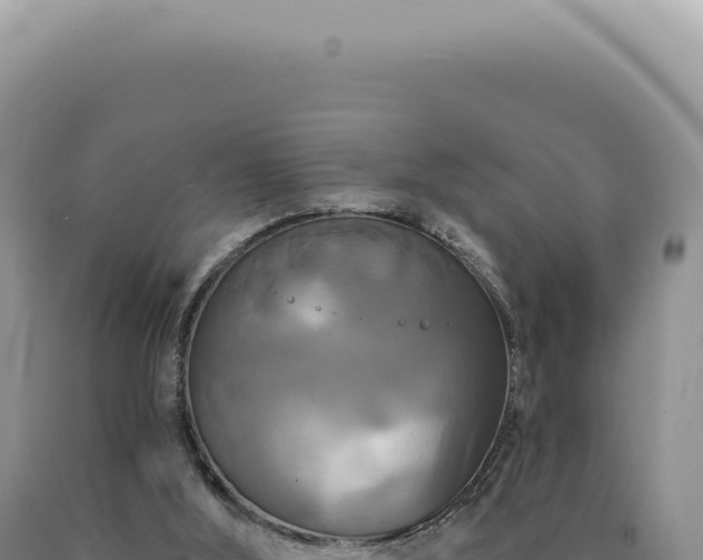 X0000090770012200707271537