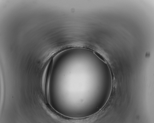 X0000090770013200707271537