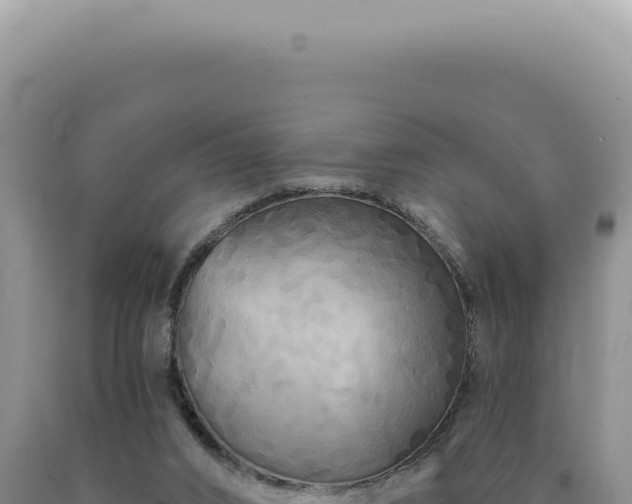 X0000090770016200707271537