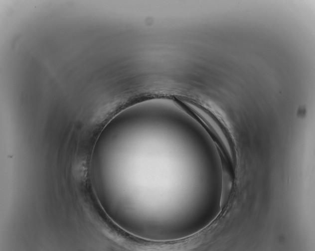X0000090770017200707271537