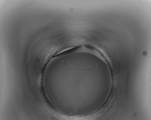 X0000090770018200707271537