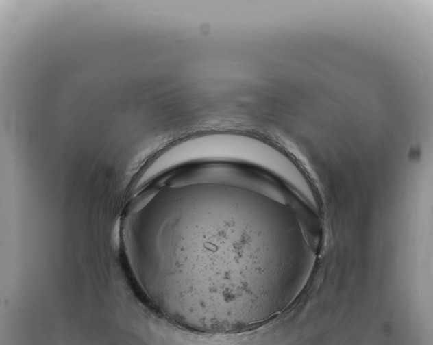 X0000090770019200707271537