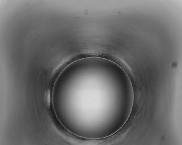 X0000090770020200707271537