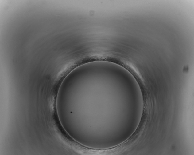 X0000090770023200707271537