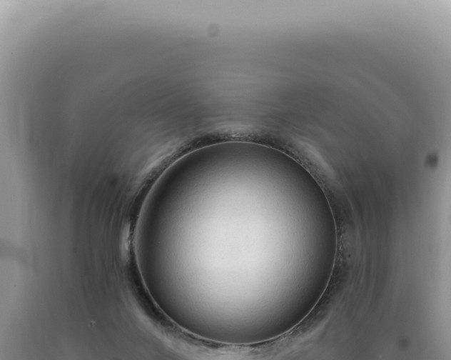 X0000090770024200707271537