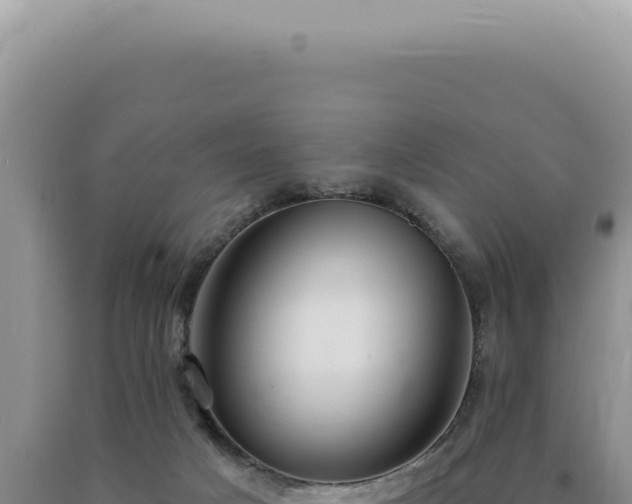 X0000090770025200707271537