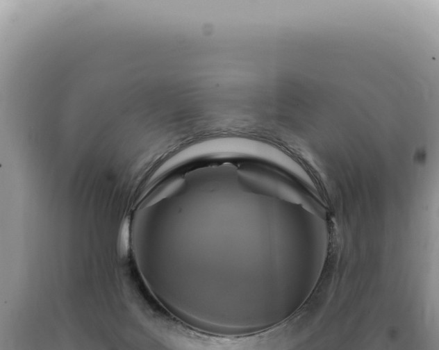 X0000090770027200707271537