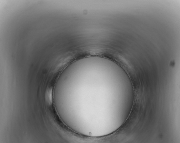 X0000090770028200707271537