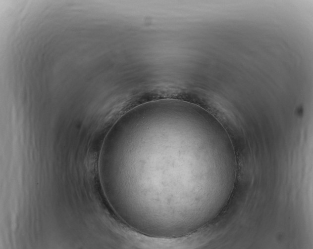X0000090770034200707271537