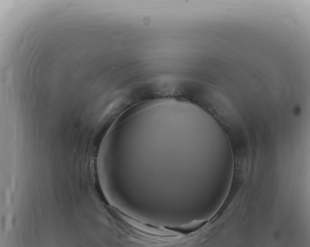 X0000090770035200707271537