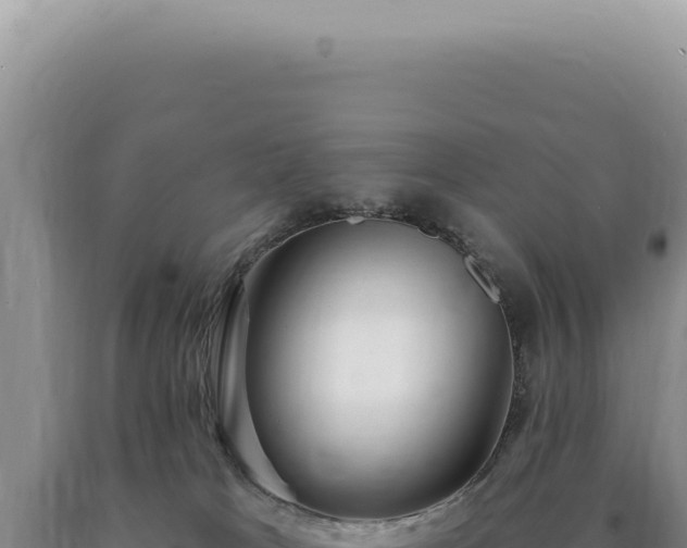 X0000090770037200707271537