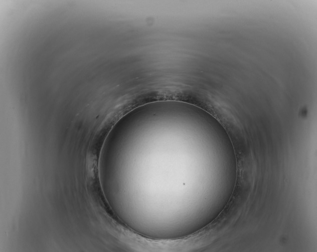 X0000090770038200707271537