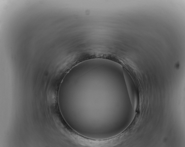 X0000090770039200707271536
