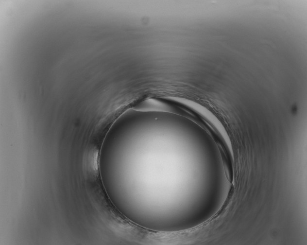 X0000090770041200707271536