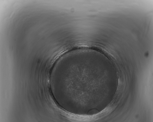 X0000090770048200707271536