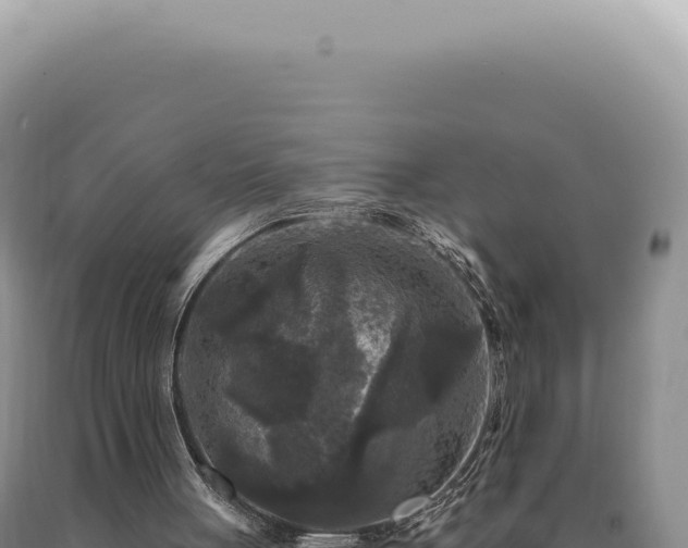 X0000090770051200707271536