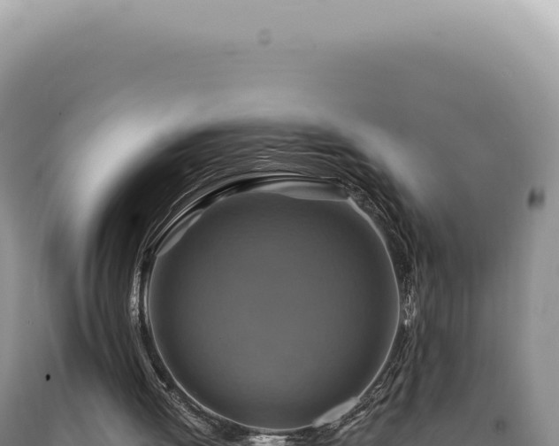 X0000090770052200707271536