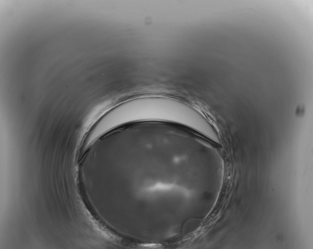 X0000090770053200707271536
