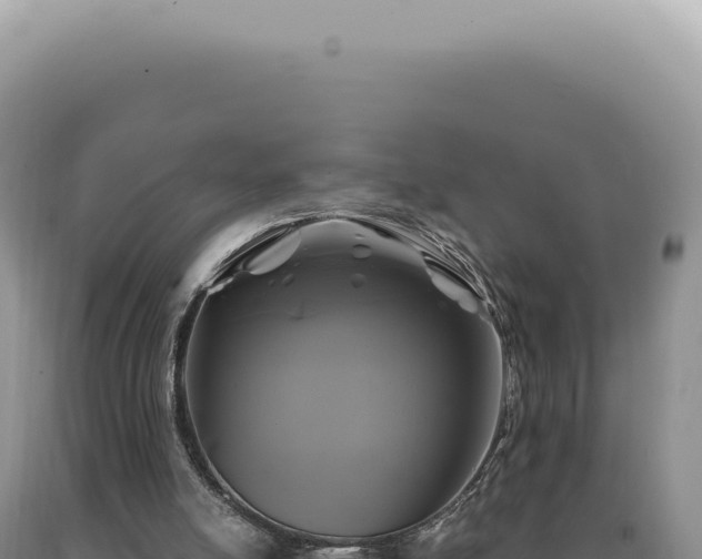 X0000090770054200707271536