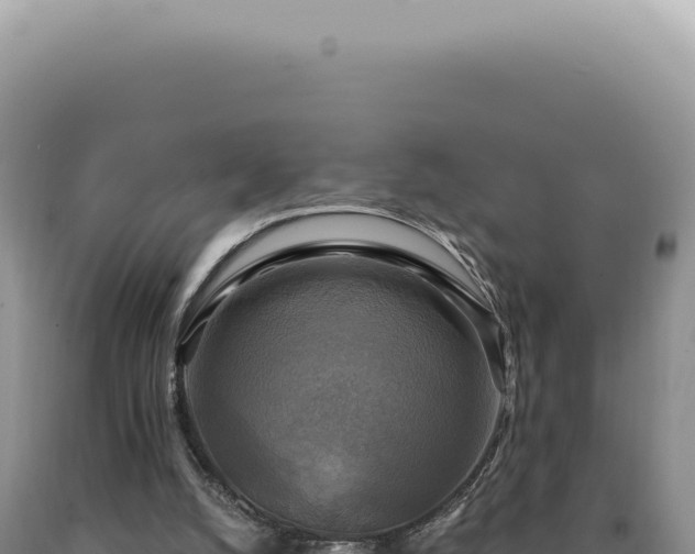 X0000090770056200707271536