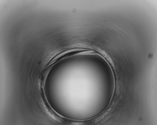 X0000090770057200707271536