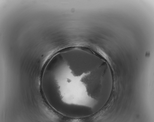 X0000090770059200707271536