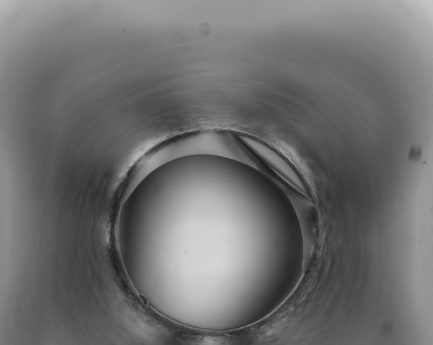 X0000090770060200707271536