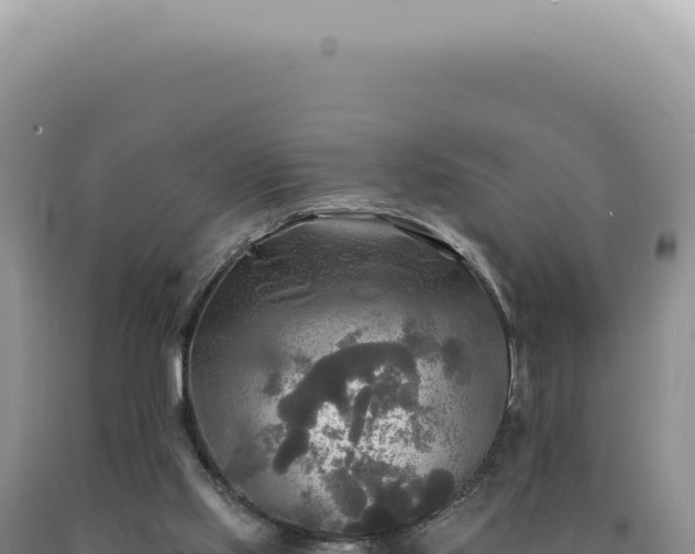 X0000090770061200707271536