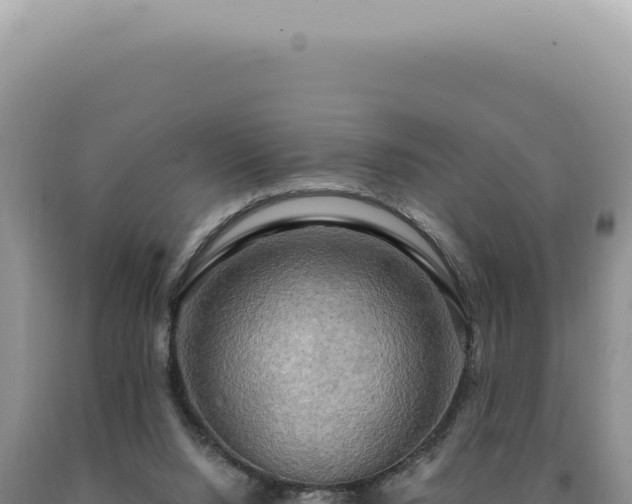 X0000090770064200707271536