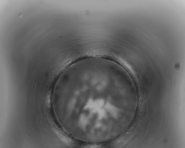 X0000090770065200707271536