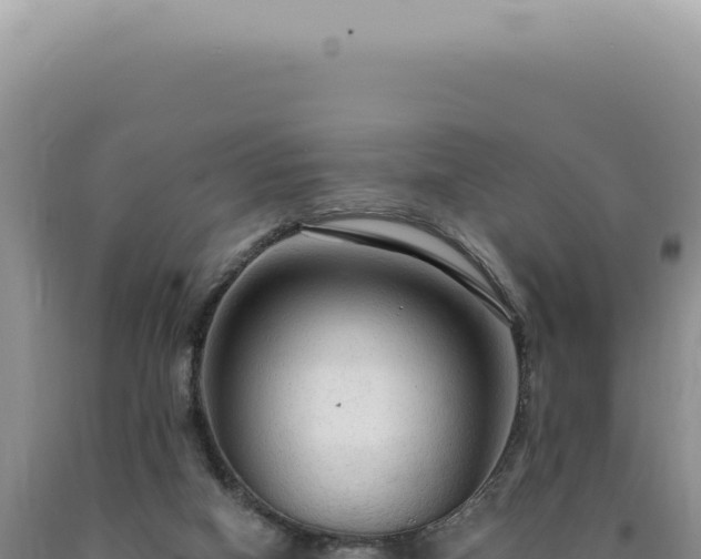 X0000090770066200707271536