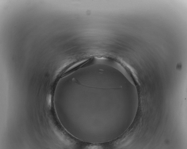 X0000090770067200707271536
