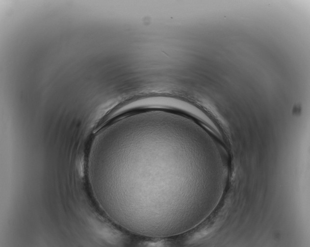 X0000090770068200707271536